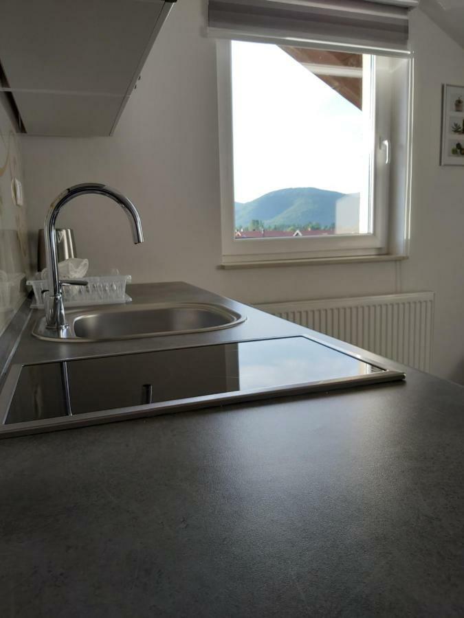 Apartmani Brigita Korenica Eksteriør bilde